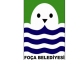 İzmir/Foça Belediyesi