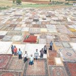 752×395-milyonluk-hali-tarlasi-1499536262433