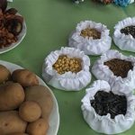 artvin-de-yerel-tohum-heyecani-608170-5