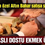 altin-bahar-ibb