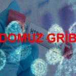 DOMUZGRİBİ