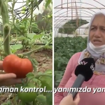Ekran Görüntüsü (343)