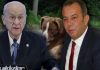 Tanju Özcan’dan Devlet Bahçeli’ye barınak çağrısı