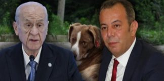 Tanju Özcan’dan Devlet Bahçeli’ye barınak çağrısı