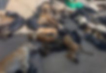 📽️Gebze Belediyesi hayvan barınağında skandal görüntüler!