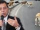 İmamoğlu, “Söz veriyorum, tek bir sokak hayvanının bile uyutulmasına asla izin vermeyeceğiz”