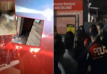 AKP’li Belediyenin hayvan barınağında skandal üstüne skandal: Katliama tepki gösterenlere bıçak!