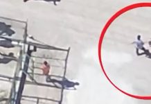 🎥Hayvan Barınağında Yine İşkence! Vahşetin Adresi Bu Kez AKP’li Konya Karatay Belediyesi Hayvan Barınağı